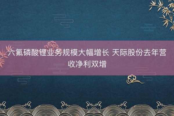 六氟磷酸锂业务规模大幅增长 天际股份去年营收净利双增