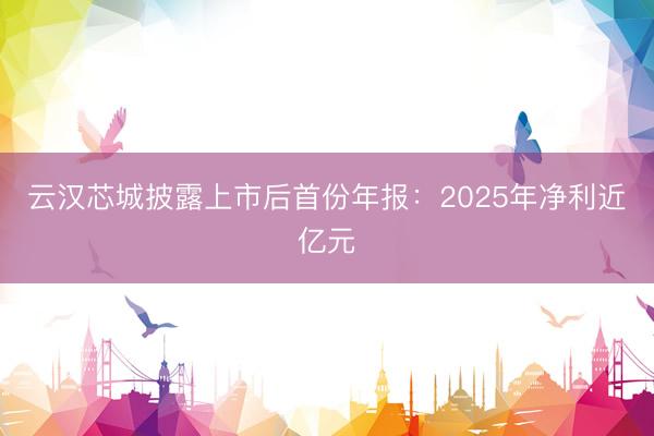 云汉芯城披露上市后首份年报：2025年净利近亿元