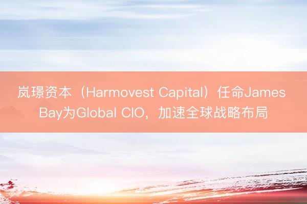 岚璟资本（Harmovest Capital）任命James Bay为Global CIO，加速全球战略布局