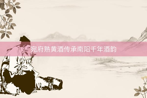 宛府熟黄酒传承南阳千年酒韵