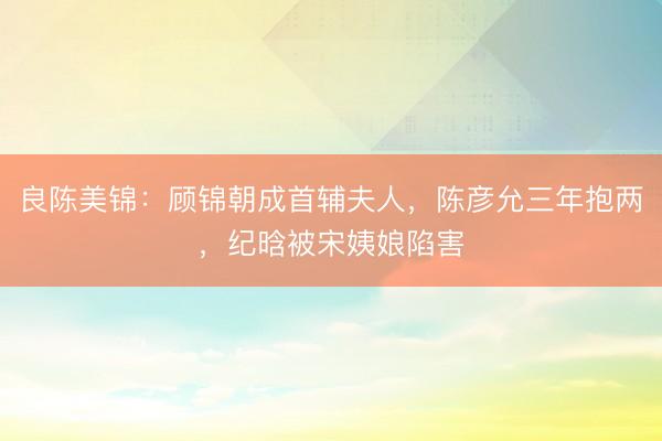 良陈美锦：顾锦朝成首辅夫人，陈彦允三年抱两，纪晗被宋姨娘陷害