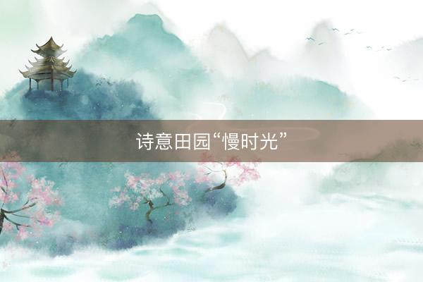 诗意田园“慢时光”