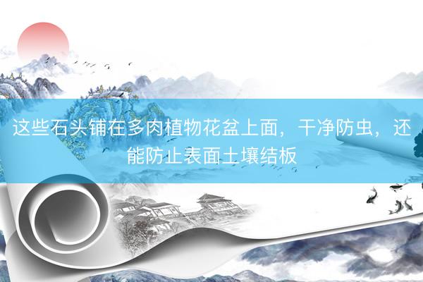 这些石头铺在多肉植物花盆上面，干净防虫，还能防止表面土壤结板