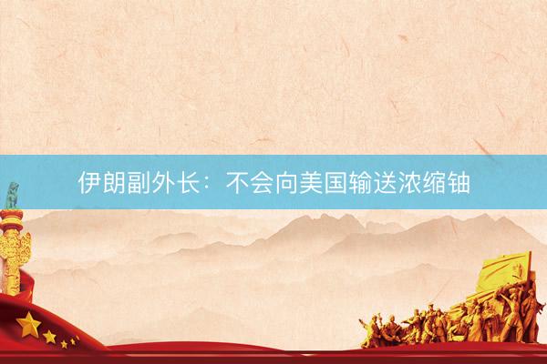 伊朗副外长：不会向美国输送浓缩铀