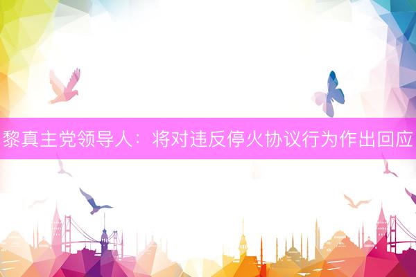 黎真主党领导人：将对违反停火协议行为作出回应