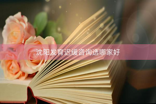 沈阳发育迟缓咨询选哪家好