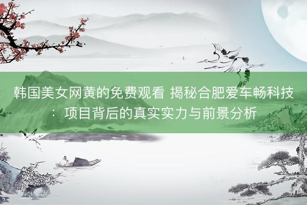 韩国美女网黄的免费观看 揭秘合肥爱车畅科技：项目背后的真实实力与前景分析