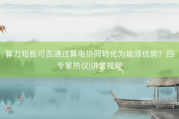 算力短板可否通过算电协同转化为能源优势？四专家热议|讲堂视频