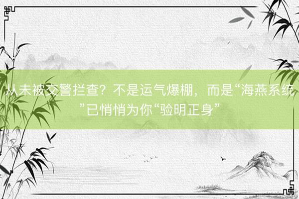 从未被交警拦查？不是运气爆棚，而是“海燕系统”已悄悄为你“验明正身”