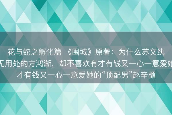花与蛇之孵化篇 《围城》原著：为什么苏文纨喜欢学历造假且全无用处的方鸿渐，却不喜欢有才有钱又一心一意爱她的“顶配男”赵辛楣
