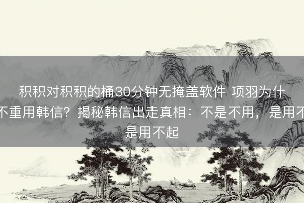 积积对积积的桶30分钟无掩盖软件 项羽为什么不重用韩信？揭秘韩信出走真相：不是不用，是用不起