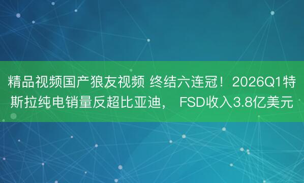 精品视频国产狼友视频 终结六连冠！2026Q1特斯拉纯电销量反超比亚迪， FSD收入3.8亿美元