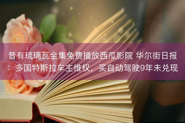 昔有琉璃瓦全集免费播放西瓜影院 华尔街日报：多国特斯拉车主维权，买自动驾驶9年未兑现