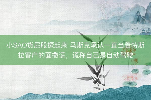 小SAO货屁股撅起来 马斯克承认一直当着特斯拉客户的面撒谎，谎称自己是自动驾驶