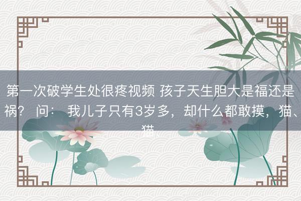 第一次破学生处很疼视频 孩子天生胆大是福还是祸？ 问： 我儿子只有3岁多，却什么都敢摸，猫、