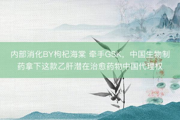 内部消化BY枸杞海棠 牵手GSK，中国生物制药拿下这款乙肝潜在治愈药物中国代理权