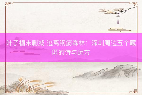 叶子楣未删减 逃离钢筋森林：深圳周边五个藏匿的诗与远方