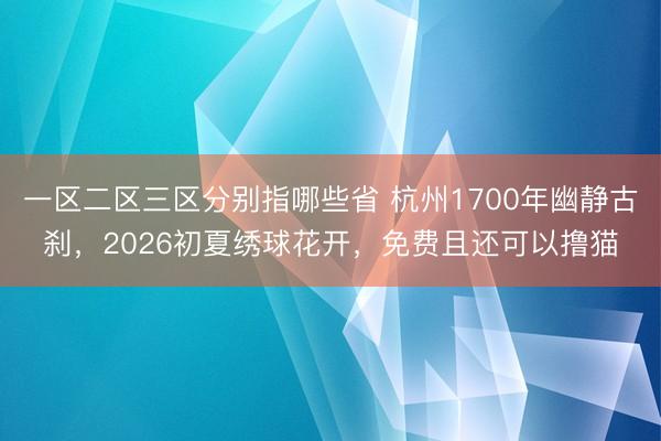 一区二区三区分别指哪些省 杭州1700年幽静古刹,2026初夏绣球花开,免费且还可以撸猫