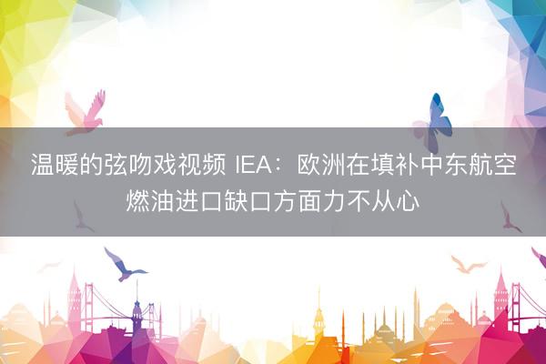 温暖的弦吻戏视频 IEA：欧洲在填补中东航空燃油进口缺口方面力不从心