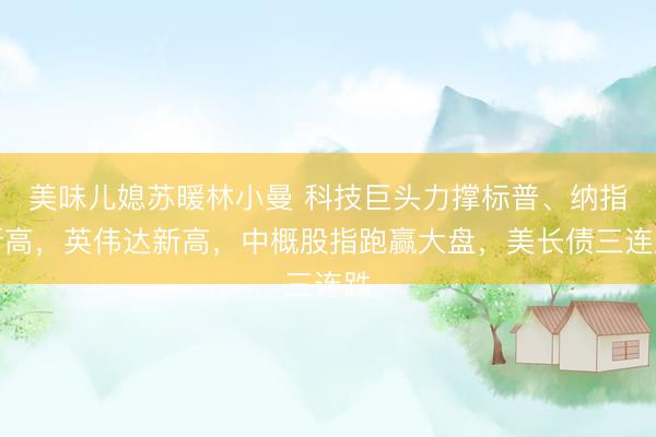 美味儿媳苏暖林小曼 科技巨头力撑标普、纳指新高，英伟达新高，中概股指跑赢大盘，美长债三连跌