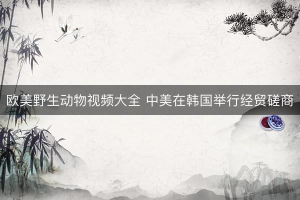 欧美野生动物视频大全 中美在韩国举行经贸磋商