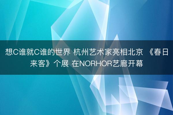 想C谁就C谁的世界 杭州艺术家亮相北京 《春日来客》个展 在NORHOR艺廊开幕