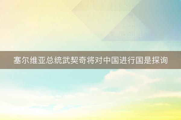 塞尔维亚总统武契奇将对中国进行国是探询
