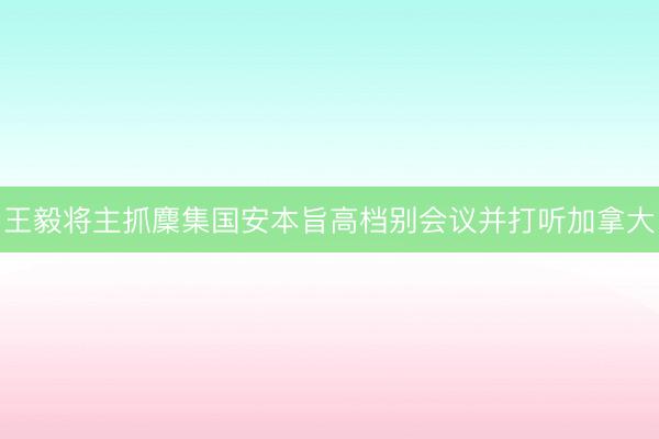 王毅将主抓麇集国安本旨高档别会议并打听加拿大