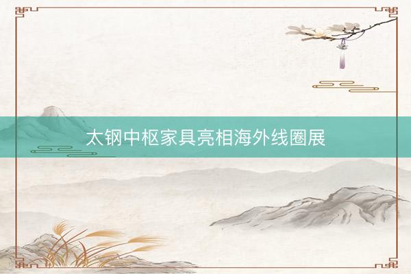 太钢中枢家具亮相海外线圈展