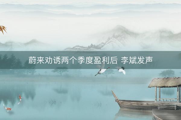 蔚来劝诱两个季度盈利后 李斌发声