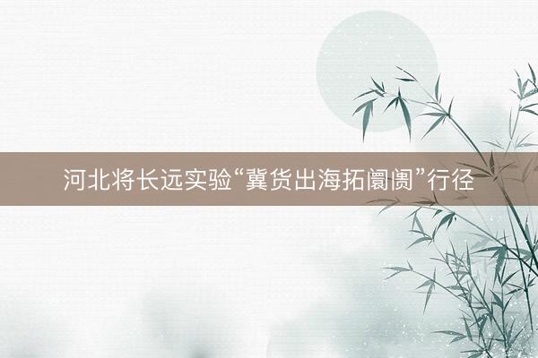 河北将长远实验“冀货出海拓阛阓”行径