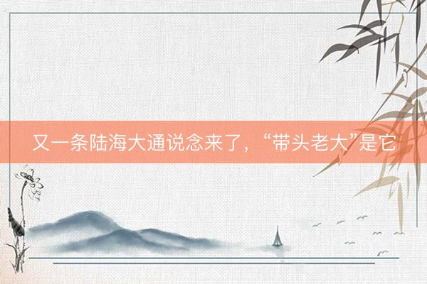 又一条陆海大通说念来了，“带头老大”是它