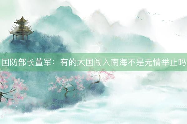国防部长董军：有的大国闯入南海不是无情举止吗