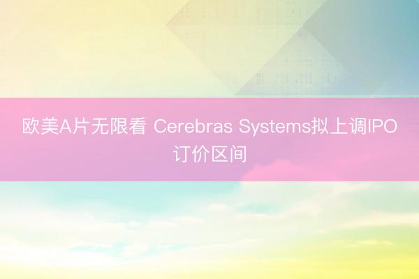 欧美Α片无限看 Cerebras Systems拟上调IPO订价区间