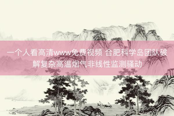 一个人看高清www免费视频 合肥科学岛团队破解复杂高温烟气非线性监测骚动