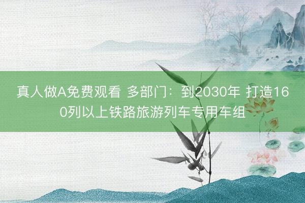 真人做A免费观看 多部门：到2030年 打造160列以上铁路旅游列车专用车组