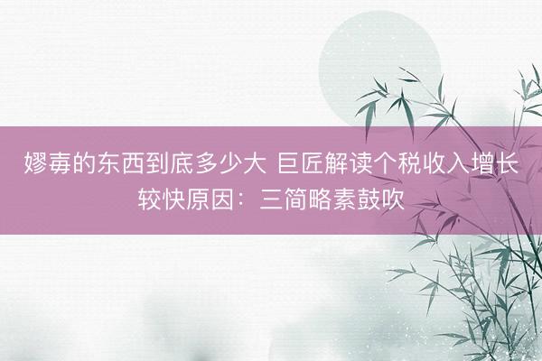 嫪毐的东西到底多少大 巨匠解读个税收入增长较快原因：三简略素鼓吹
