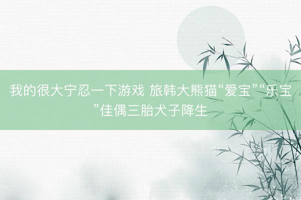 我的很大宁忍一下游戏 旅韩大熊猫“爱宝”“乐宝”佳偶三胎犬子降生