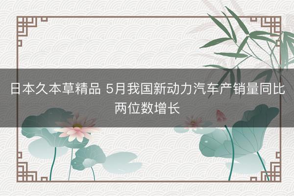 日本久本草精品 5月我国新动力汽车产销量同比两位数增长