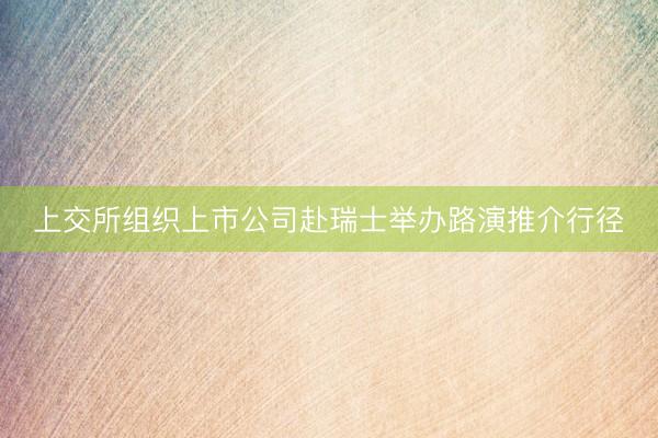 上交所组织上市公司赴瑞士举办路演推介行径