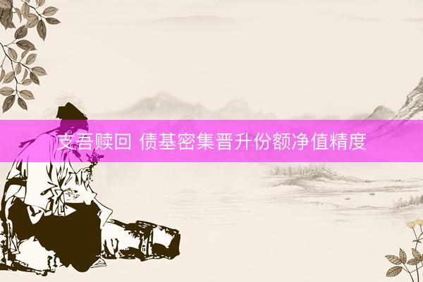 支吾赎回 债基密集晋升份额净值精度