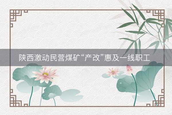 陕西激动民营煤矿“产改”惠及一线职工 