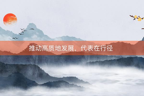 推动高质地发展，代表在行径 