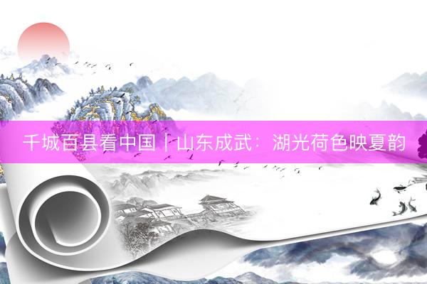 千城百县看中国｜山东成武：湖光荷色映夏韵