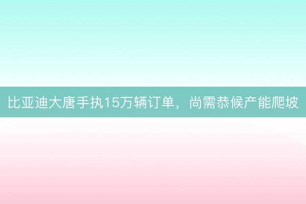比亚迪大唐手执15万辆订单，尚需恭候产能爬坡