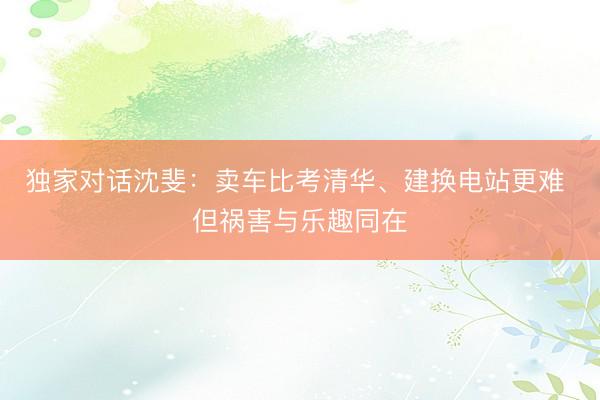 独家对话沈斐：卖车比考清华、建换电站更难 但祸害与乐趣同在