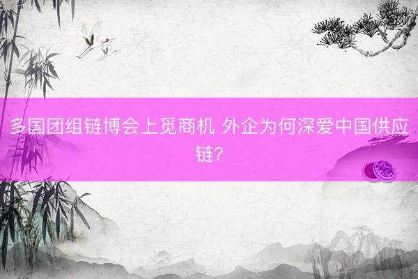 多国团组链博会上觅商机 外企为何深爱中国供应链？